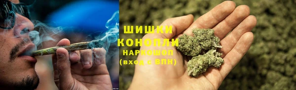 прущие крисы Корсаков