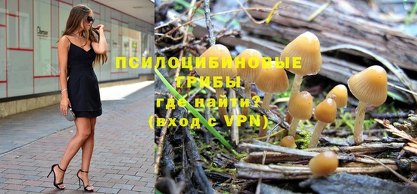 прущие крисы Корсаков