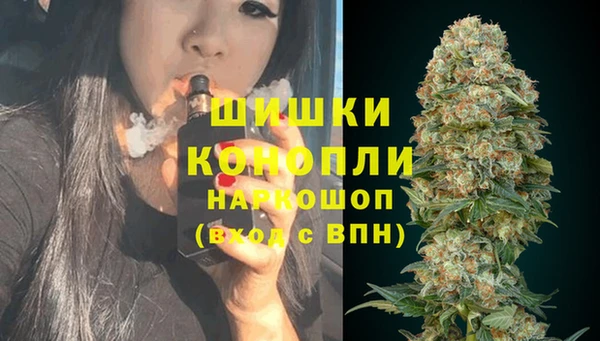 прущие крисы Корсаков