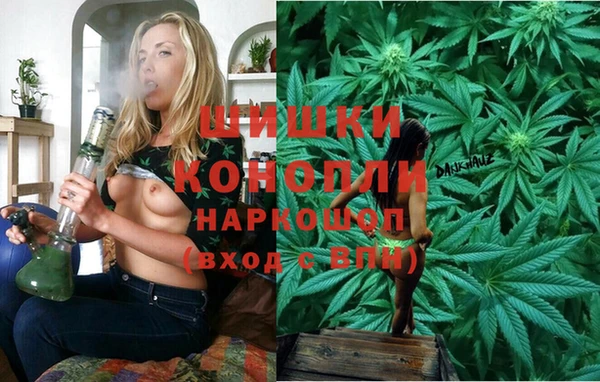 прущие крисы Корсаков