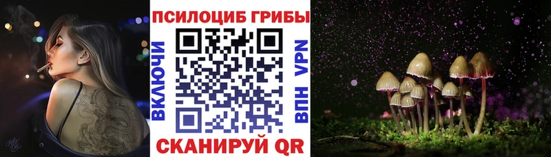 Псилоцибиновые грибы Psilocybe  Новый Оскол 